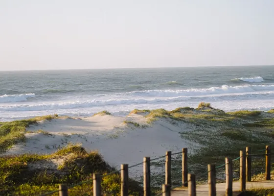 A wooden access route through low dunes towards the sea.