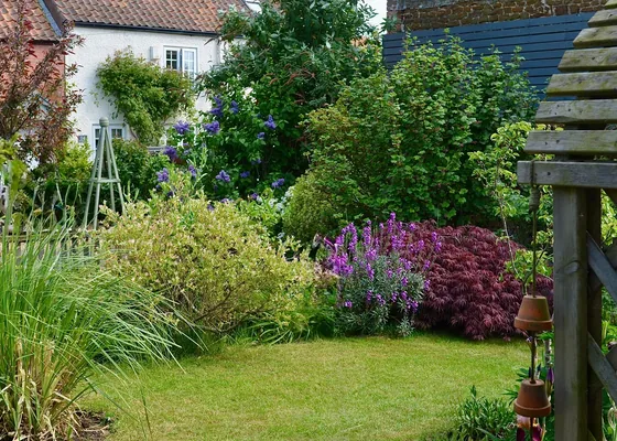 Mixed flower borders beside a lawn in an English cottage garden.