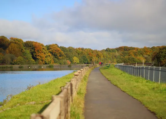 A lakeside path with a railing and autumn trees.