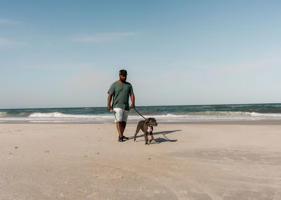 A person walking a dog on a lead along the sand.